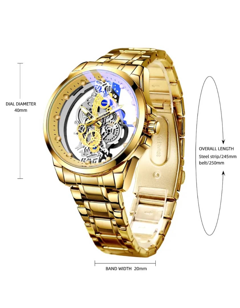 Montre transparente TPW
